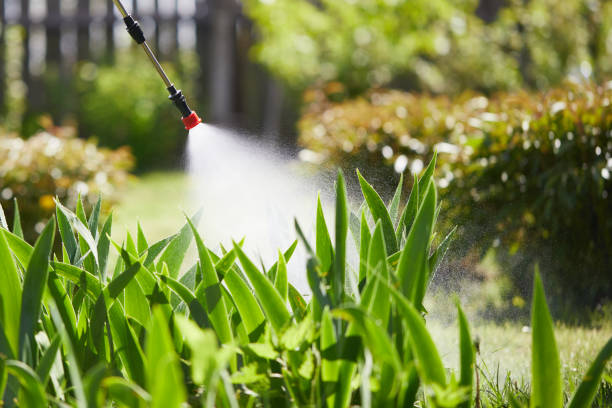 24/7 Emergency Mosquito Control experts in Merlin, OR