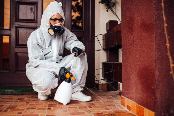 Reliable Mosquito Control contractor in Merlin, OR by Show Me Pest Control